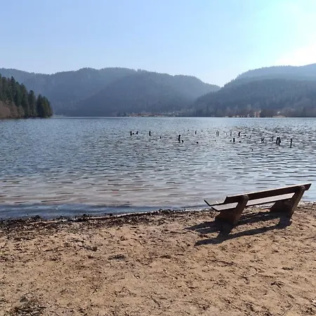 Appartement Proche Lac De Longemer La Bresse Exterior foto