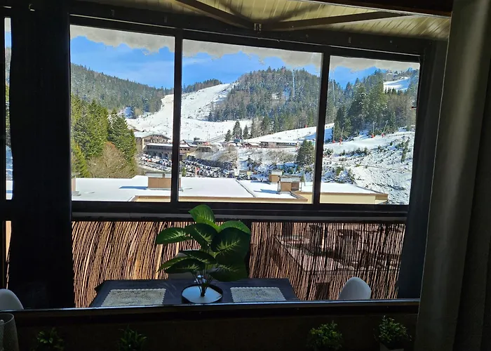 Appartement Proche Lac De Longemer